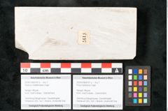 Foto (Objekt + Etikett) von Pinus holothana Unger (NHMW-GEO-2024-0188-8197a)